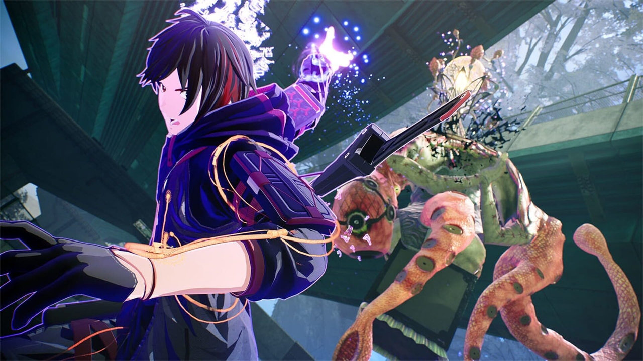 緋紅結系