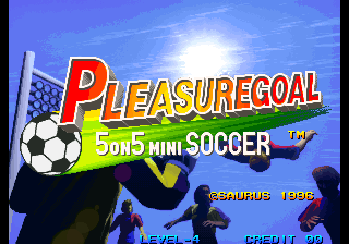 Pleasure Goal: 5 on 5 Mini Soccer