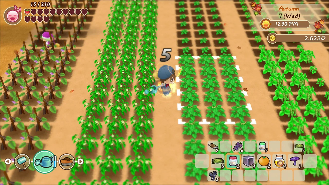 Story of Seasons: Friends of Mineral Town