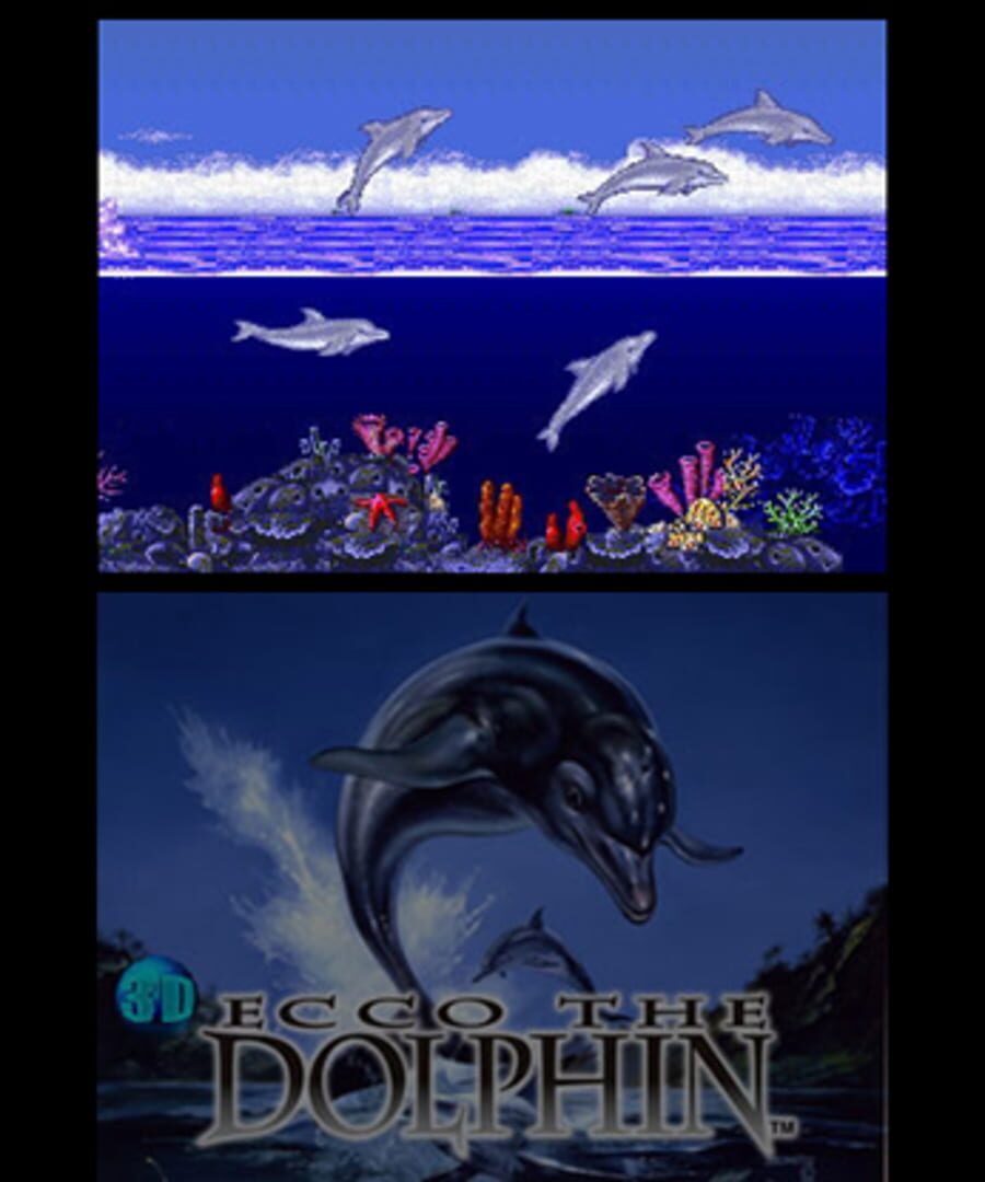 3Dドルフィンエコー