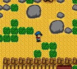 Harvest Moon GB
