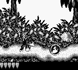 Donkey Kong Land