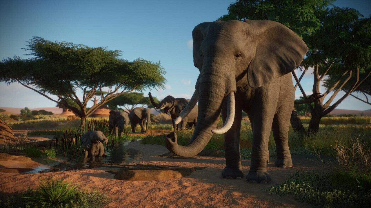Planet Zoo: Console Edition