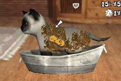 猫狗好朋友