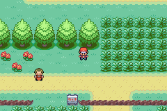 ポケットモンスター - ファイアレッド