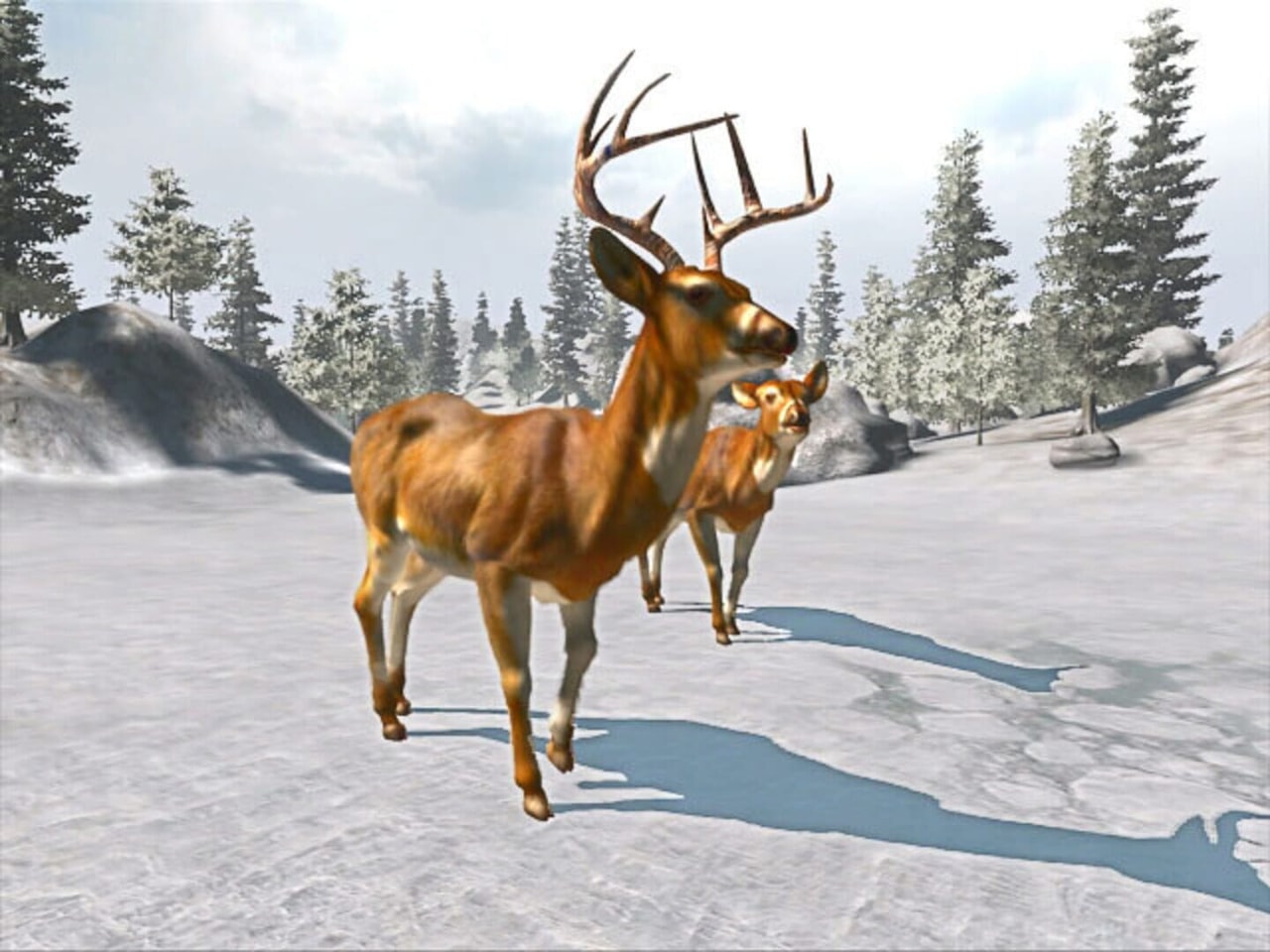 Cabela's Trophy Bucks