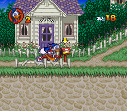 Donald Duck no Mahou no Boushi