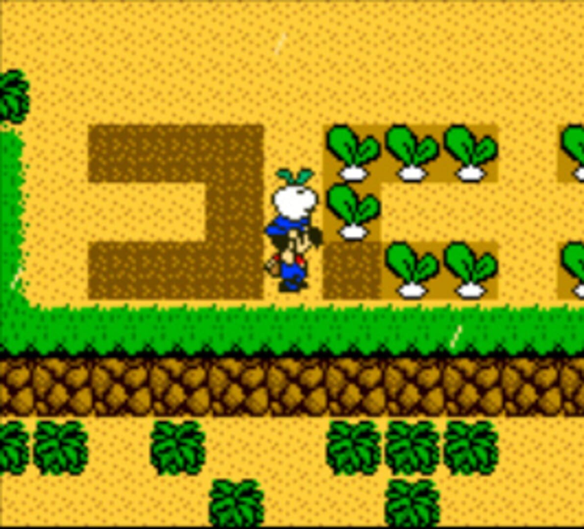 ハーベストムーン3