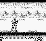 戰鬥模擬器 2 合 1：飛龍之拳