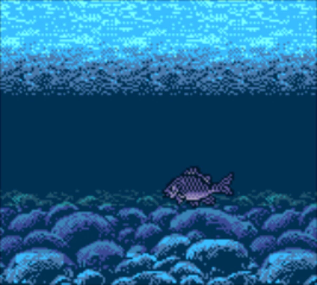 釣り王2