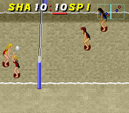 Dig _ Spike Volleyball