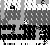 Dig Dug