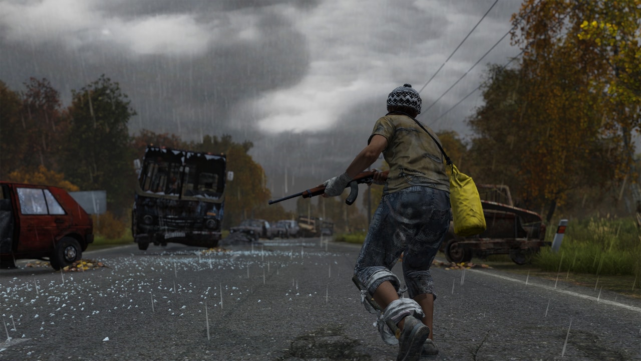 DayZ: Cool Edition