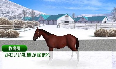 《G1赛马》游戏截图 1