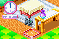 Catz