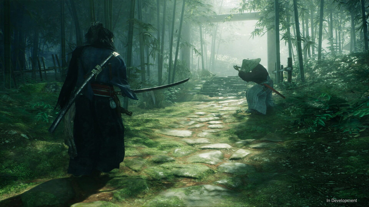 浪人崛起