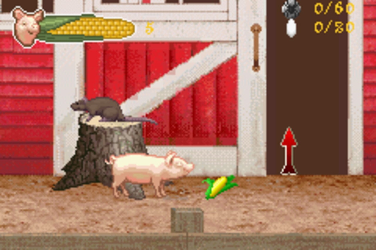 Charlotte's Web