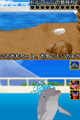 我爱海豚