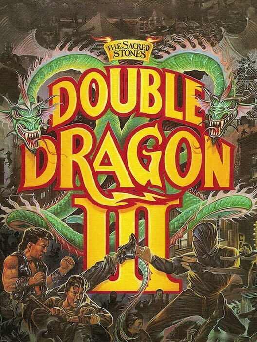 『Double Dragon 3: The Sacred Stones』のパッケージ画像