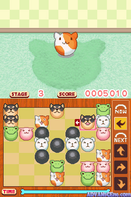 Animal Kororo