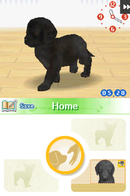 Nintendogs - Best Friends