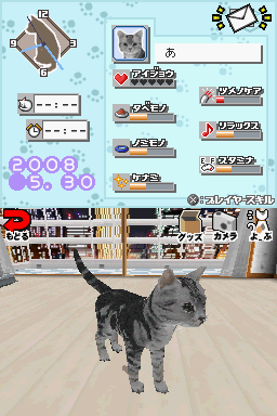 ドリームキャットDS