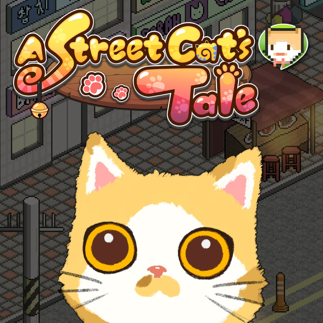 流浪猫物语