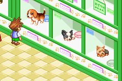 Dogz