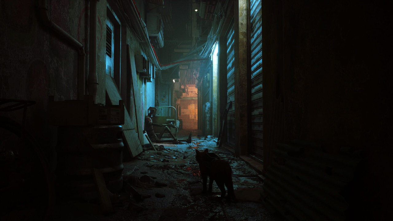 Stray (ストレイ)