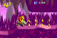 Donkey Kong Country