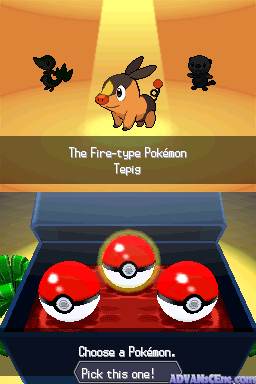 Pokemon - Black Version