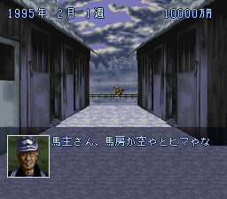 賽馬之道2