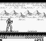 战斗模拟器 2 合 1：飞龙之拳