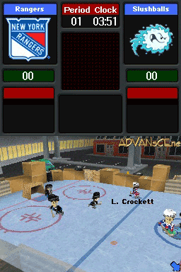 Backyard Hockey