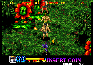 忍者突击队