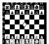國際象棋大師