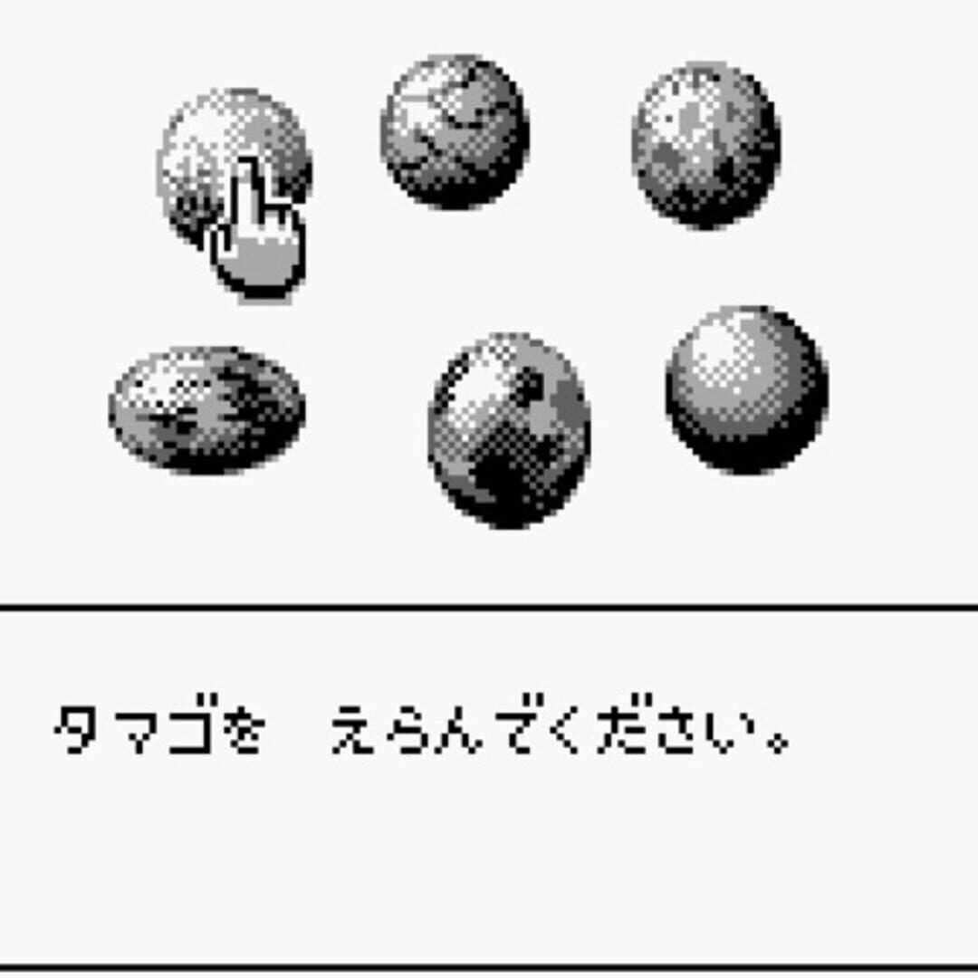 育龙战记