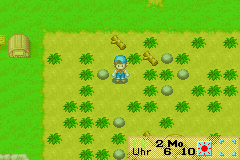 Harvest Moon - Friends of Mineral Town gameplay screenshot 4