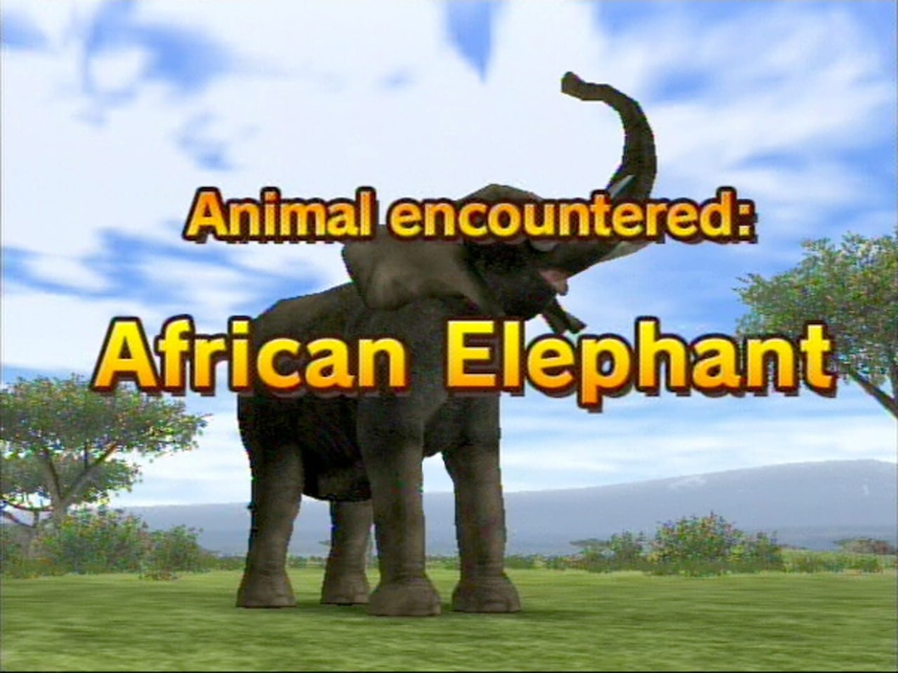 Animal Kingdom - Wildlife Expedition