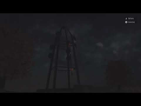 A Night on the Farm