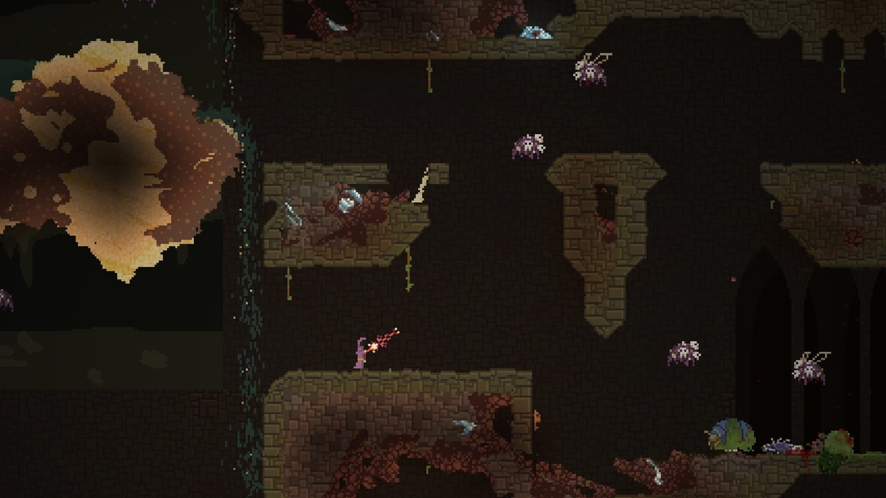 Noita