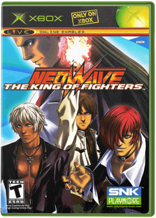 King of Fighters Neowave, The