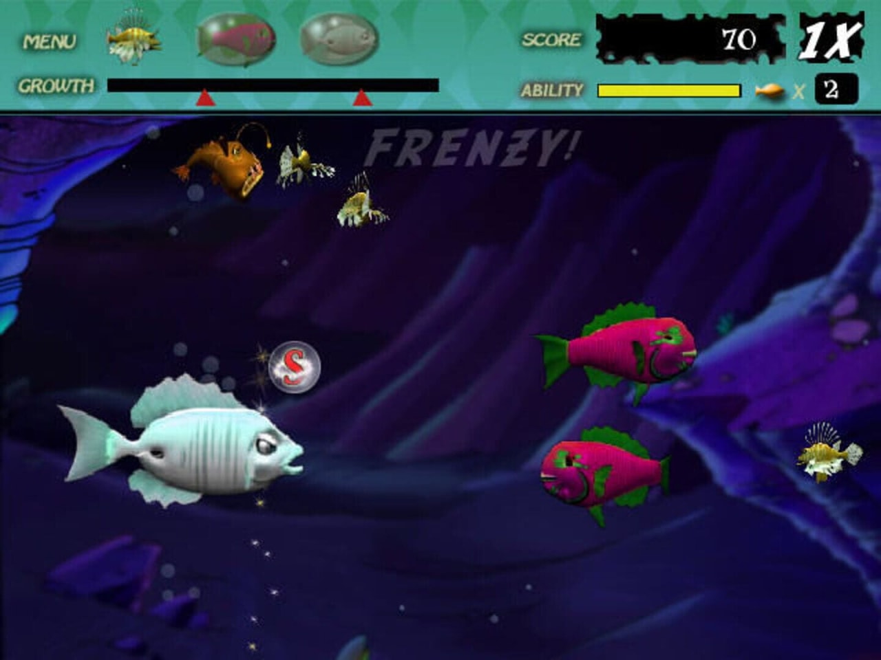 Feeding Frenzy