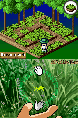 Beetle King