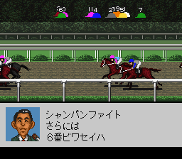 Derby Stallion 98