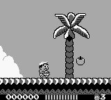 Adventure Island