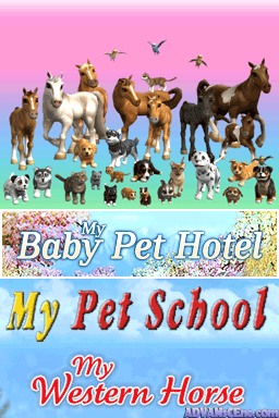 3 in 1 - Animals