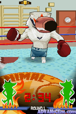 Animal Boxing