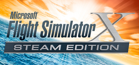 Microsoft Flight Simulator 10