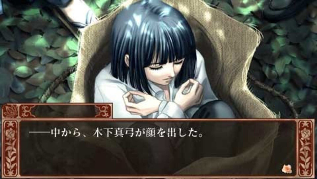 蔷薇树上蔷薇开